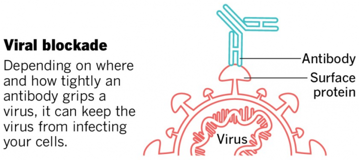 Scientists Take Action By Engaging With Congress On The Promise Of ...