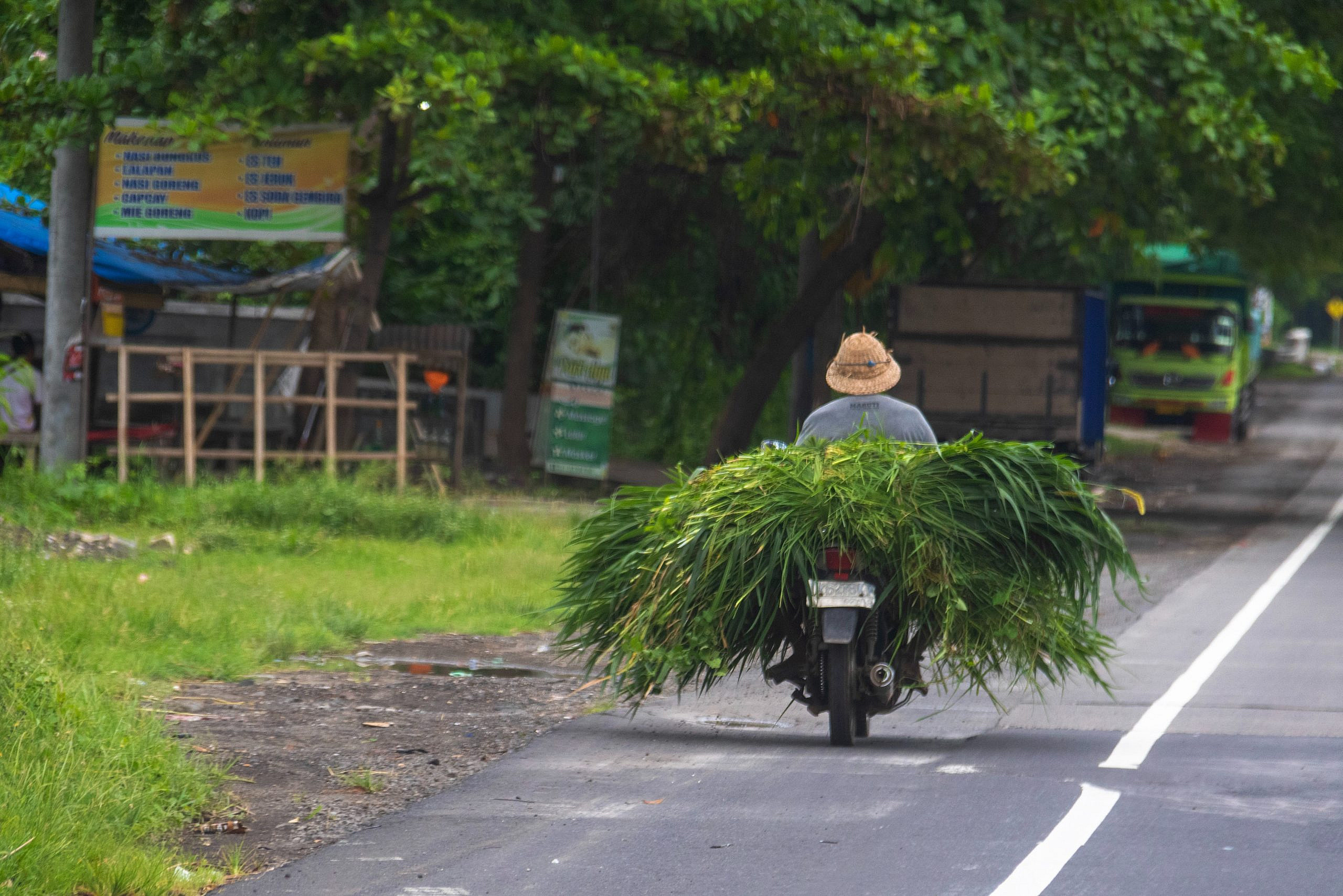 On Africa's farms, the forecast calls for adaptation and innovation