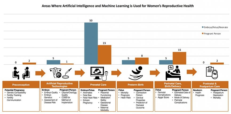 Establishing an AI Center of Excellence to Address Maternal Health ...