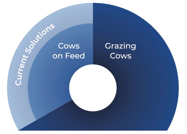 Pie chart showing how much of the current focus of methane reduction in cattle is focused on cows on feed over grazing cows.