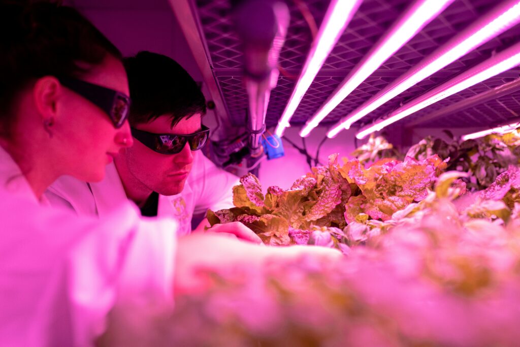 Bringing agricultural biotechnology to market with AgARDA - Vimarsana News