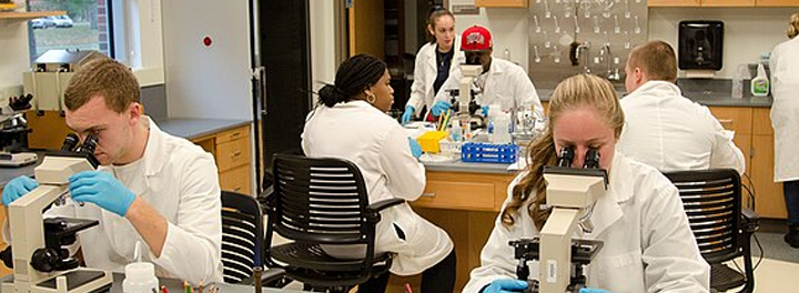 Students work in cell biology lab in Peckham Hall, 2012