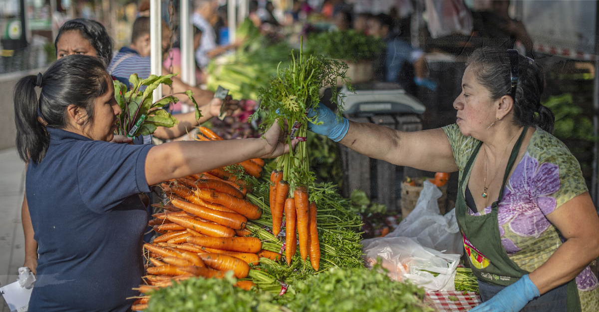 Corona Farmers Market in Queens, New York is one of the most dynamic and diverse farmers markets in the city and is steps off the subway and mass transit system for the city.