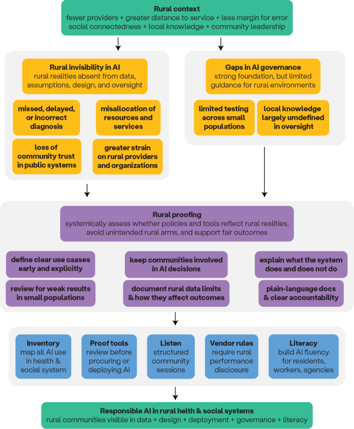Rural Proofing Artificial Intelligence